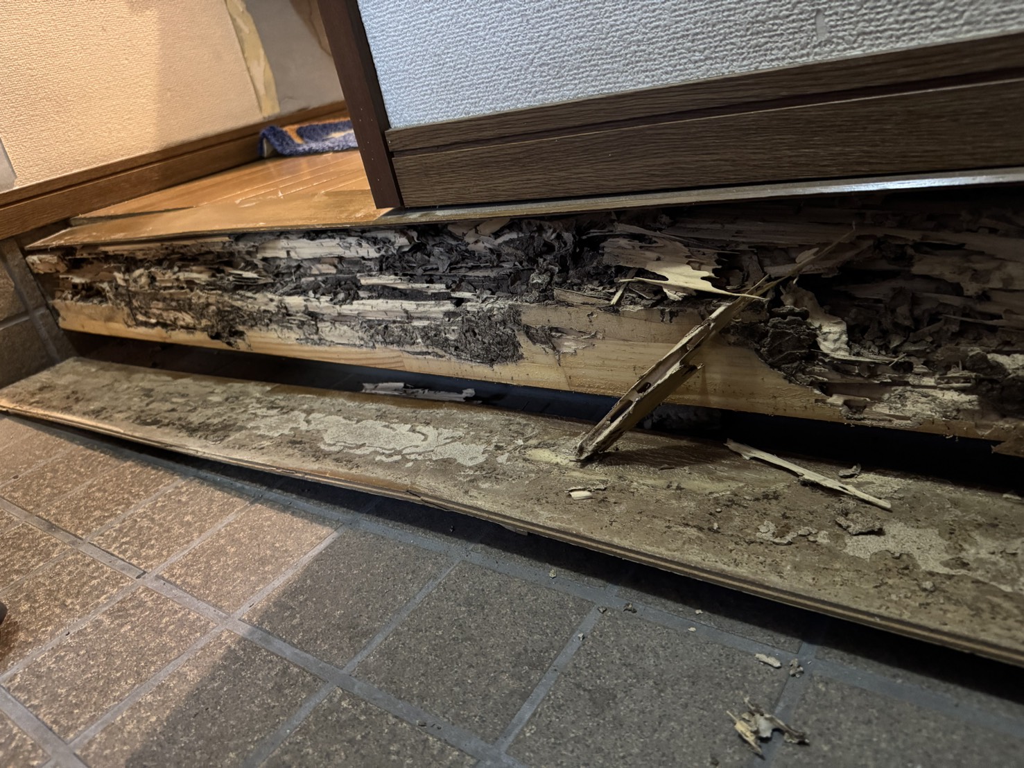 施工前のシロアリ被害箇所